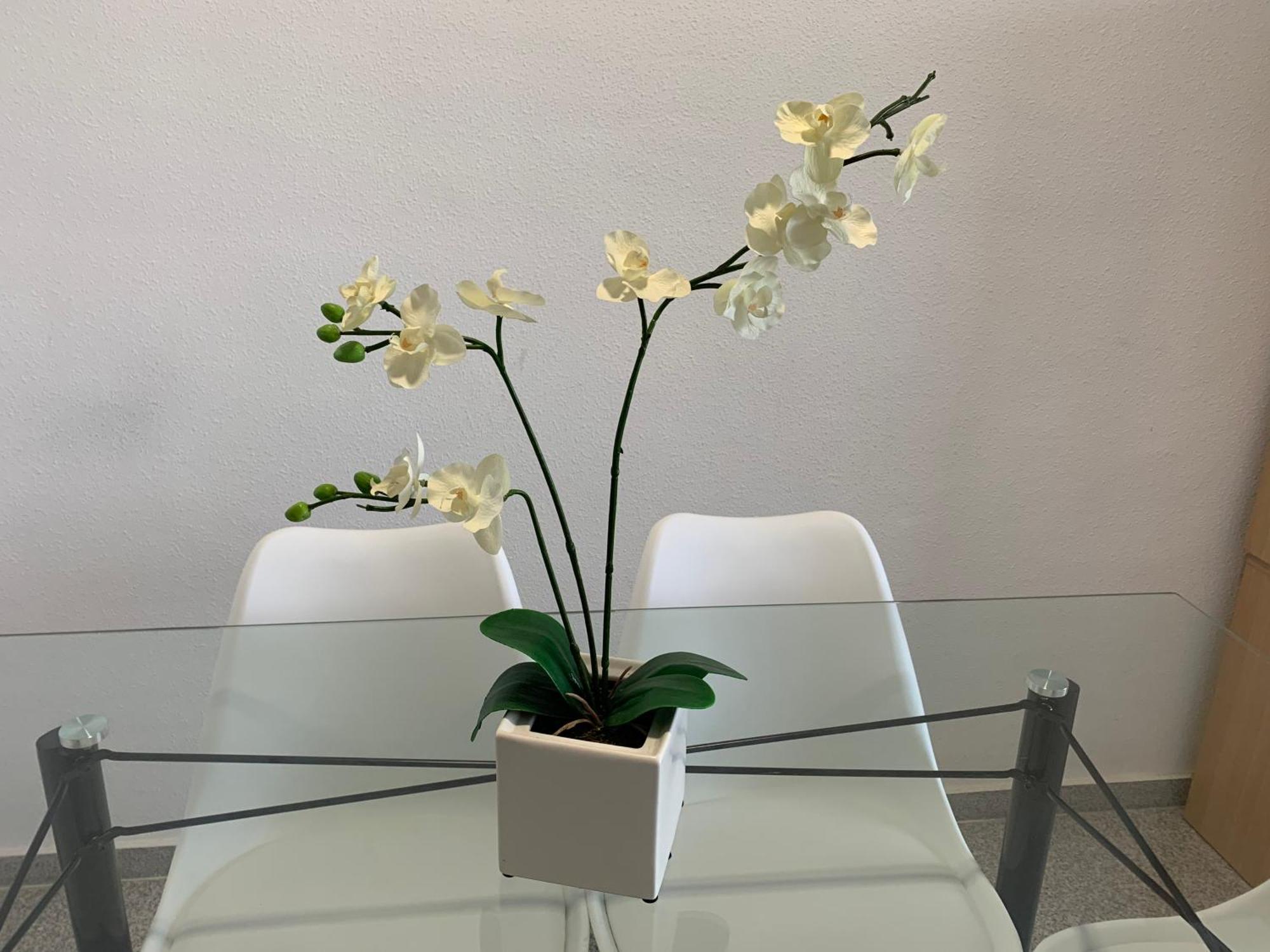 Cabo Mar Apartment Ел Кампело Екстериор снимка